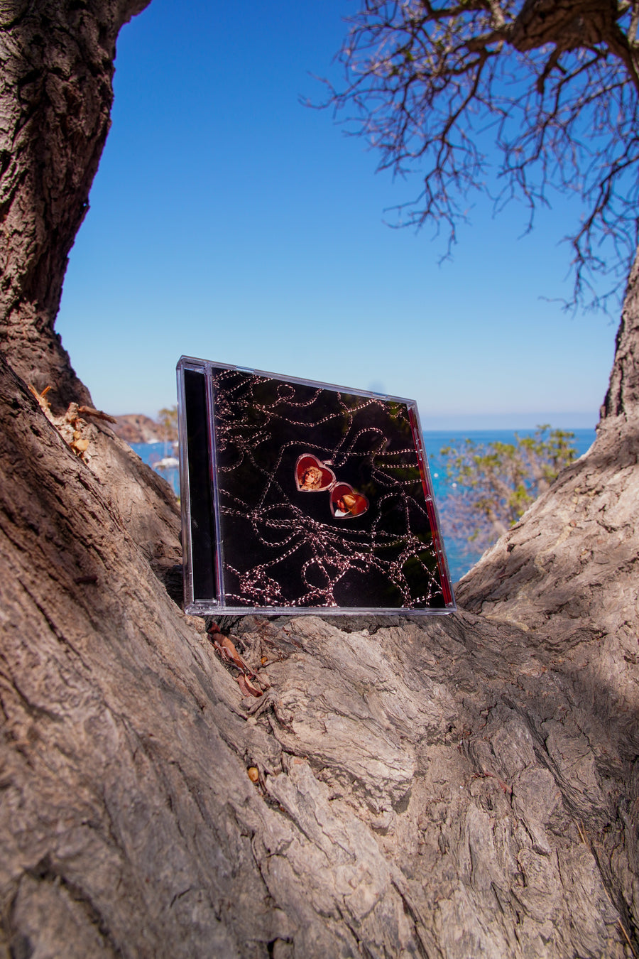 Face Down In The Garden CD